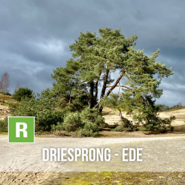 De Driesprong - Ede 