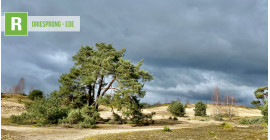 De Driesprong - Ede