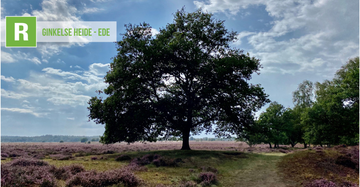 Ginkelse Heide - Ede