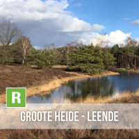 Groote Heide - Leende