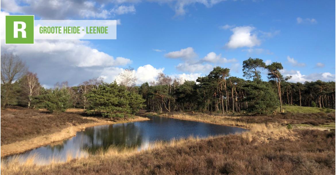 Groote Heide - Leende