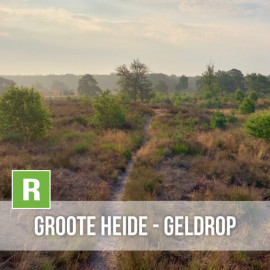 Groote Heide - Geldrop 