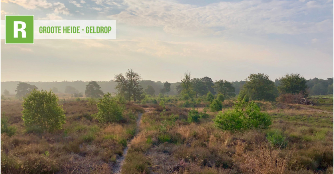 Groote Heide - Geldrop
