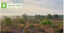 Groote Heide - Geldrop