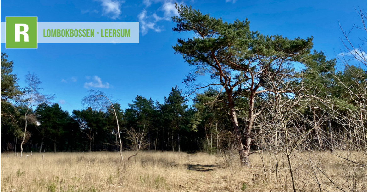 Lombok bossen - Leersum