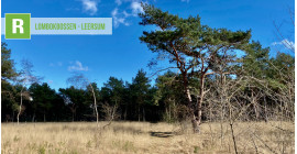 Lombok bossen - Leersum