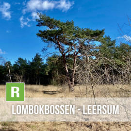 Lombok bossen - Leersum 