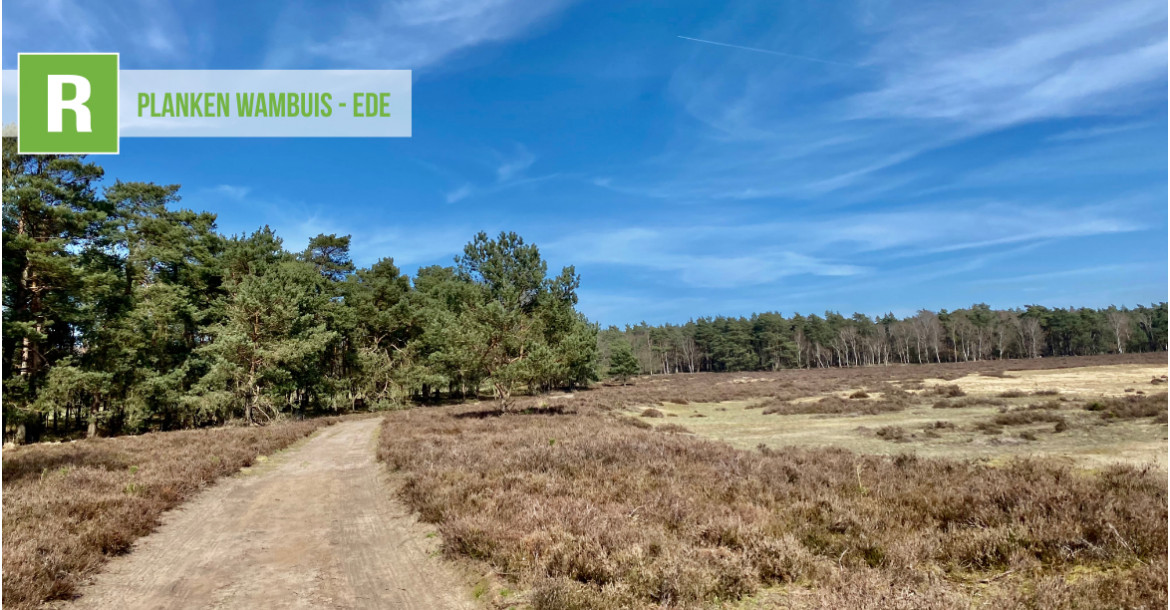 Planken Wambuis - Ede