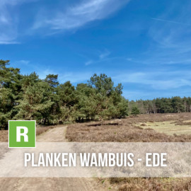 Planken Wambuis - Ede 